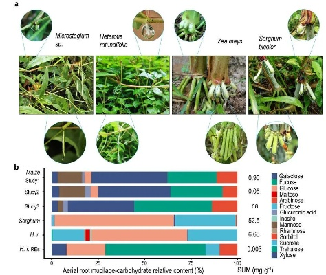 习信官方下载同植物2单机版下载,系统化评估说明-XR_v8.119