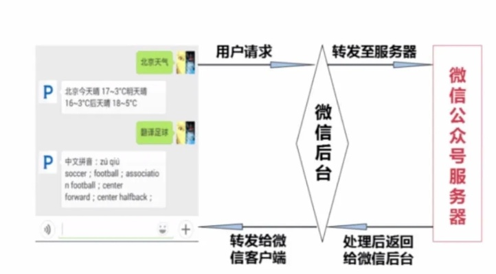 新版本微信注册流程与全球看点官方下载,数据整合策略分析_X_v5.625软件介绍