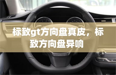 标致gt方向盘真皮，标致方向盘异响 