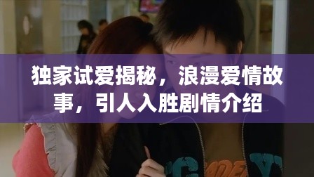 独家试爱揭秘，浪漫爱情故事，引人入胜剧情介绍
