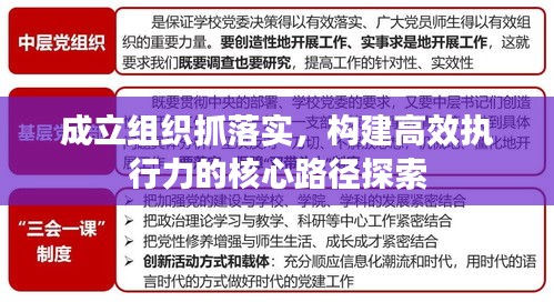成立组织抓落实，构建高效执行力的核心路径探索