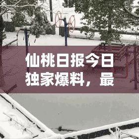 仙桃日报今日独家爆料，最新消息一网打尽！