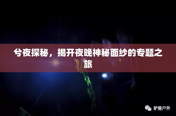 兮夜探秘，揭开夜晚神秘面纱的专题之旅