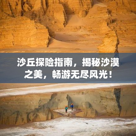 沙丘探险指南，揭秘沙漠之美，畅游无尽风光！