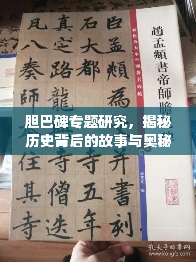 胆巴碑专题研究，揭秘历史背后的故事与奥秘