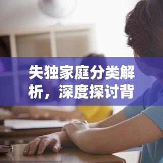 失独家庭分类解析，深度探讨背后的辛酸与困境