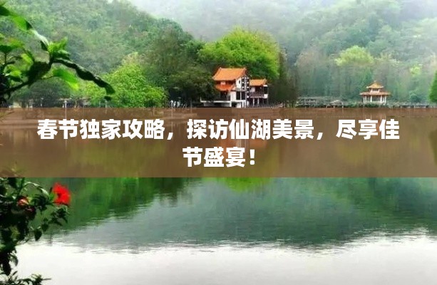 春节独家攻略，探访仙湖美景，尽享佳节盛宴！