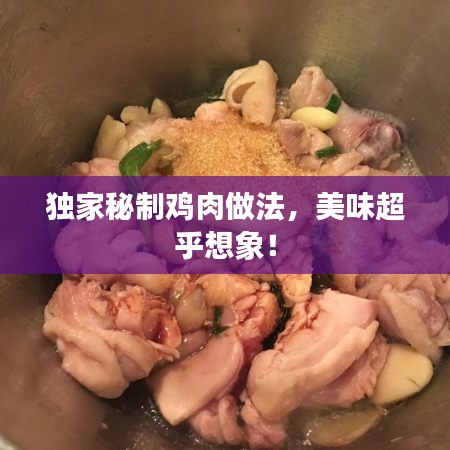独家秘制鸡肉做法，美味超乎想象！