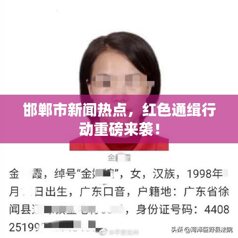 邯郸市新闻热点，红色通缉行动重磅来袭！