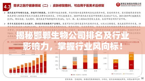 揭秘邯郸生物公司排名及行业影响力，掌握行业风向标！