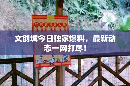 文创城今日独家爆料，最新动态一网打尽！