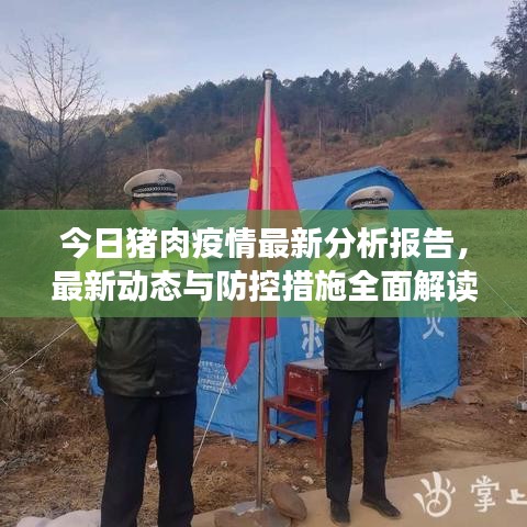 今日猪肉疫情最新分析报告，最新动态与防控措施全面解读