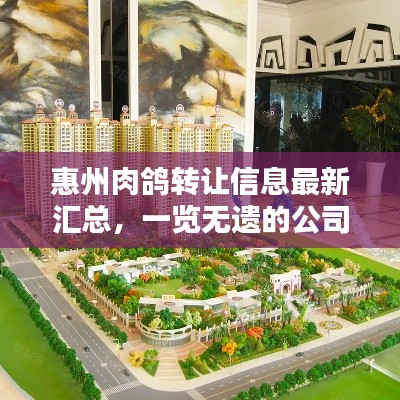 惠州肉鸽转让信息最新汇总，一览无遗的公司资讯
