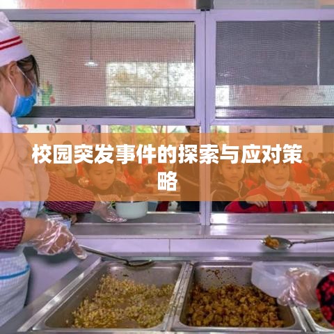 校园突发事件的探索与应对策略