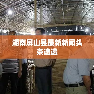 湖南屏山县最新新闻头条速递