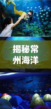 揭秘常州海洋世界排名与重要性，探寻蓝色星球的神秘魅力！