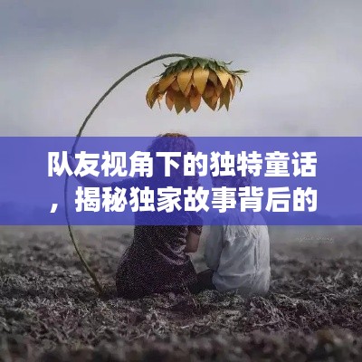 队友视角下的独特童话，揭秘独家故事背后的真实情感世界