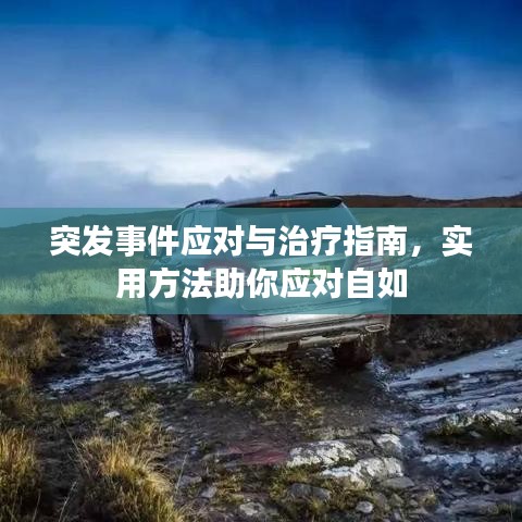 突发事件应对与治疗指南，实用方法助你应对自如