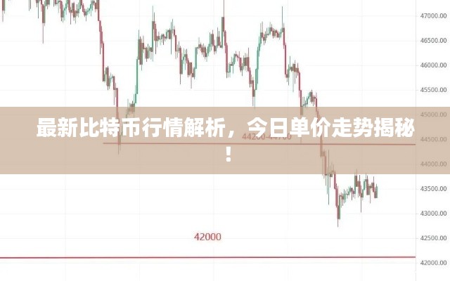 最新比特币行情解析，今日单价走势揭秘！