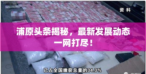 浦原头条揭秘，最新发展动态一网打尽！