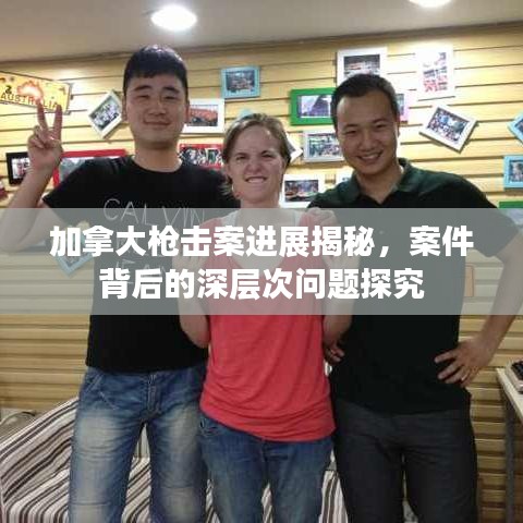 加拿大枪击案进展揭秘，案件背后的深层次问题探究