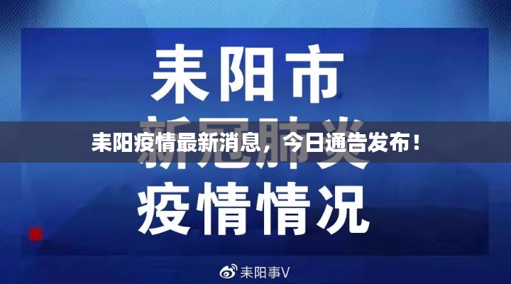耒阳疫情最新消息，今日通告发布！