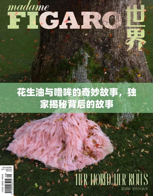 花生油与噜哞的奇妙故事，独家揭秘背后的故事