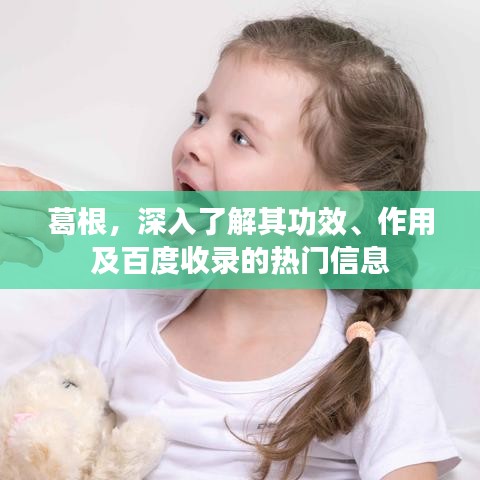 葛根，深入了解其功效、作用及百度收录的热门信息