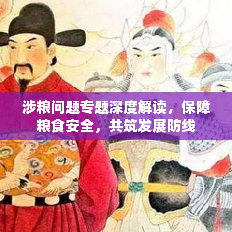 涉粮问题专题深度解读，保障粮食安全，共筑发展防线