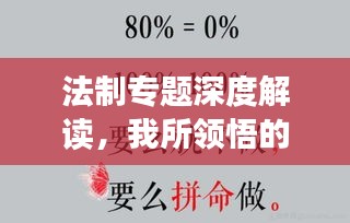 法制专题深度解读，我所领悟的心得体会