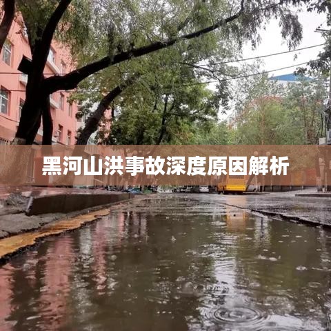 黑河山洪事故深度原因解析