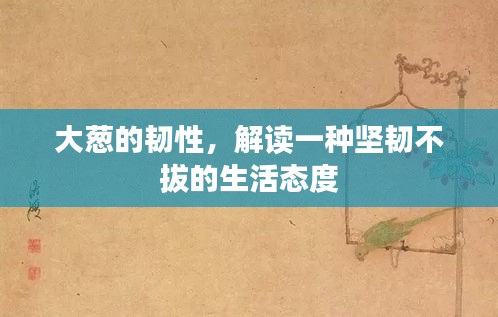 2025年6月9日