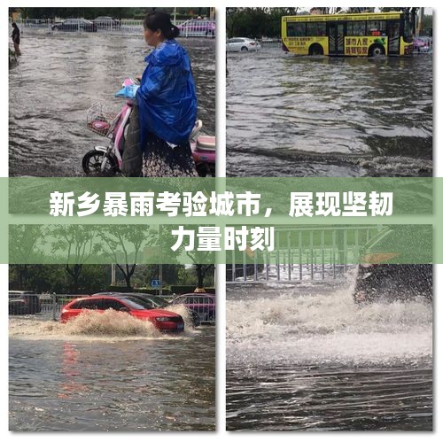 新乡暴雨考验城市，展现坚韧力量时刻