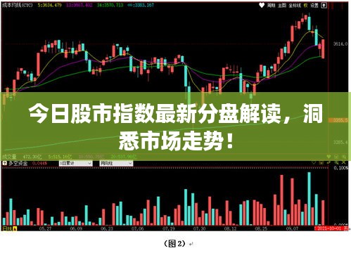 今日股市指数最新分盘解读，洞悉市场走势！