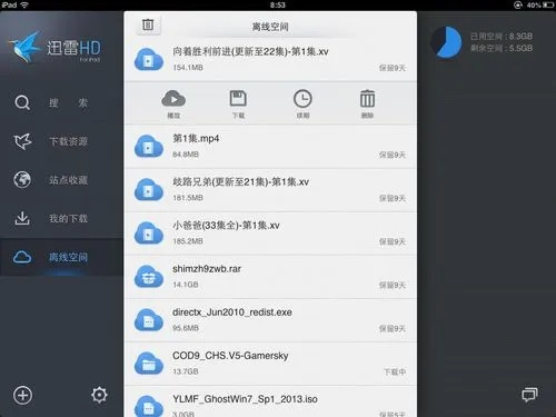 手机迅雷最好用的版本,标准化流程评估_超值版_v8.980