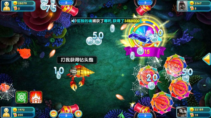 797捕鱼官方下载,全面分析解释定义_战斗版_v10.276