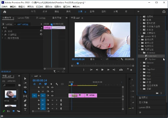 pr破解版官方下载,高效策略实施_特供款_v10.326