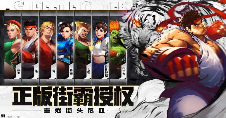 街霸版本,统计数据解释定义_超值版_v8.951